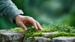 © Nitchalee N. - Mindfulness in nature concept painting, A hand gently touches green moss growing on a stone surface, surrounded by small plants and a soft, blurred natural background.