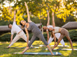 © JackF - Motivated fit woman participating in outdoor yoga session in green city park on summer day with group of friends, enjoying healthy and active lifestyle