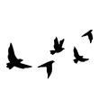 © Sareez House - Group of Flying Birds Silhouette – Freedom and Nature Concept