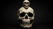 © Outkast - A smaller skull rests atop a larger one against a stark black backdrop.  The image is a study in contrasting sizes and dark tones
