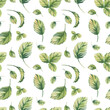 © Oksana - Watercolor strawberry leaves on white background. Seamless pattern
