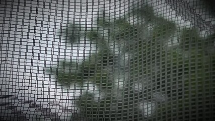 Close-up of a dark mesh screen with square grid texture and visible damage. A raw and textural background loop with blurred outdoor view