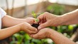 © photostockatinat - A pair of hands working together, nurturing a seedling, symbolizing the transfer of knowledge and care between generations. The scene embodies growth, education, and the value of shared effort