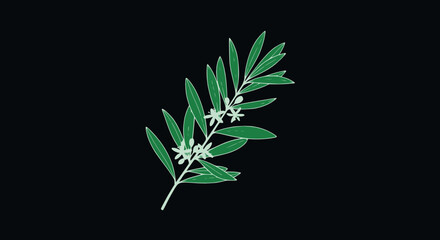 Dark background fern, subtle nature design