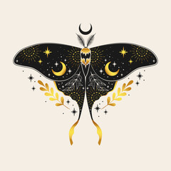 Wall Mural - black and gold moth illustration. for cards, invitations, t-shirts and more.