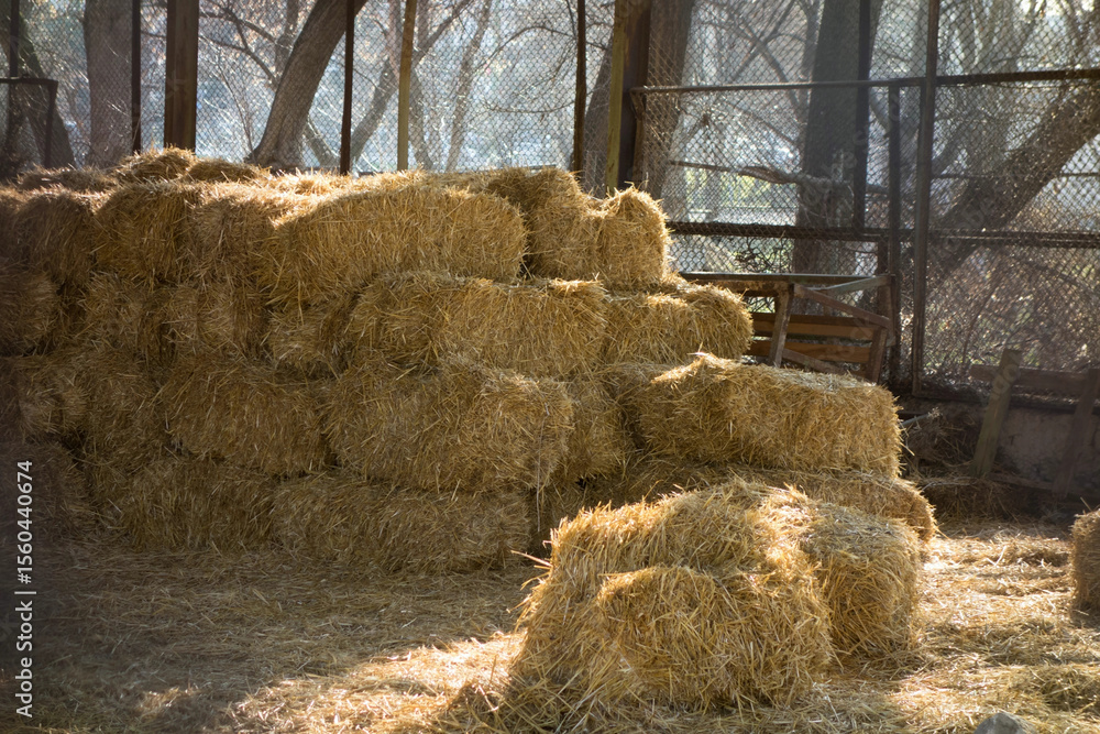 Stacked hay bales inside a rustic barn with sunlight streaming through ...