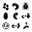 © Влада Яковенко - Beetle Life Icons. Solid, filled icon set of beetle life stages: egg, larva, pupa, adult beetle, cocoon, molting larva,