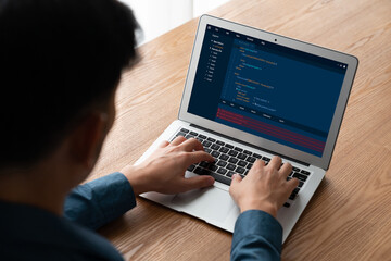 Wall Mural - software development programming on computer screen for modish application and program coding