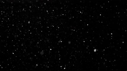 Wall Mural - Falling White Particles Against Black Background Creating a Captivating Visual Effect