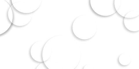 Wall Mural - luxury elegant white and grey background with circle. modern abstract light silver background vector