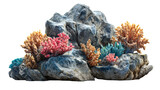 Colorful coral garden on rock formation, marine aquarium, cut out transparent