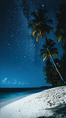 Wall Mural - A serene beach scene at night with palm trees in the foreground, ideal for use in travel or nature-inspired designs