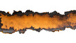 © Marinnai - Burnt and torn paper strip isolated on white