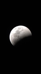 Wall Mural - lunar eclipse - the shadow of the earth creeps on the lunar disk. vertical video