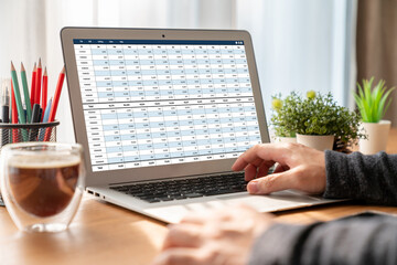 Wall Mural - accounting software on computer screen showing financial statement spreadsheets and account balance 