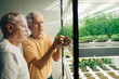 © Maskot - Senior man looking at male friend examining grass growing inside glass shelf