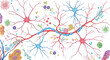 © markusmiller - Intricate neural network and synapses vector illustration for scientific exploration