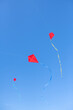 © Ibai Acevedo/Stocksy - Red kites flying in clean blue sky