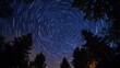 © Dara - A starry night sky with a circular pattern of stars forming a spiral, set against a dark blue sky with silhouettes of trees in the foreground.
