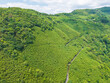 © Lawren Lu/Stocksy - Aerial View of Bamboo Forests on Hills with Winding Road