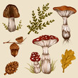 © Inna Edson/Stocksy - Illustration of an autumn forest set