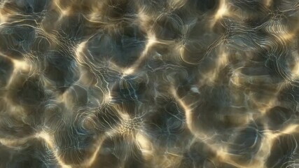 Wall Mural - shimmering water surface light reflection ripple pattern wave liquid abstract natural fluid movement