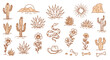 © Ophelia - Desert elements vector illustration: cactus, snake, flowers, and sun in hand-drawn line art style for graphic design