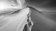 © Abdullah - A grayscale vista of a snowy mountain peak.  Footprints trace a path up a slope