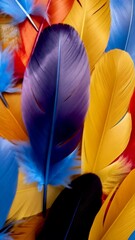 Wall Mural - vibrant assortment of assorted feathers in a colorful array, exhibiting hues of blue, yellow, orange