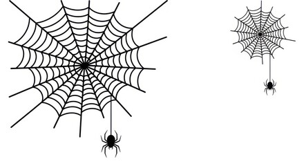 Two spiderwebs with spiders hanging from them on a plain white backdrop
