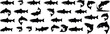 © Silhouette designer - A large collection of atlantic salmon fish silhouette vector graphics in many different swimming and jumping poses for design.