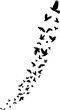 © Jalal's Graphic Lore - black silhouettes of birds