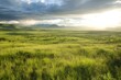© Anna - Serene sunset over green grassland landscape for tranquil nature scenes