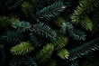 © Мария Кузьмина - a green Christmas tree twig nearby