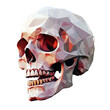 © Sagar - skull illustration png transparent background