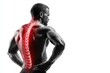 © ffunn - A man with back pain, his spine highlighted in red on a white background. The concept of sportsmen and their muscular physiques.