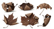 © TatikListiani - Set of dried maple leaves