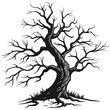 © Akshay - Gnarly bare tree silhouette black white