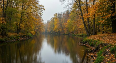  A river meanders through a forest ablaze with autumnal colors, reflecting in the still water under an overcast sky
