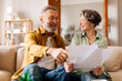 © Home-stock - Happy elderly spouses counting monthly expenses, checking financial documents and family budget, sitting on couch at home