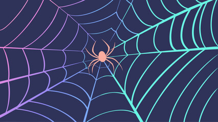 spider and web