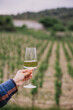 © EdNurg - Woman hand savoring a glass of white wine, celebrating a bountiful harvest amidst the picturesque vineyard landscape