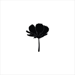 Flower with silhouette  