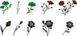 © Ainul - Silhouette spring flower collection black color only