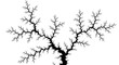 © Chanal - Fractal Tree Branch Pattern - Abstract Nature Black and White Art