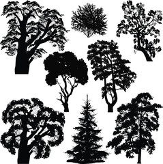 Wall Mural - different eight trees silhouettes isolated on white background