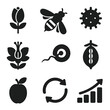 © BROTHER - Pollination Cycle Icons. Solid, filled icons set of pollination cycle stages: flower bud, bee visit, pollen