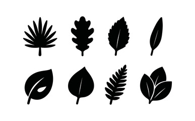 Wall Mural - nature leaf silhouette icon set. foliage, botanical shapes in silhouette collection