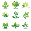 © Nattapat - Green Sprout Landscape Icon or Logo Design Set, vector style simple color