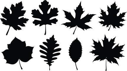 set of autumn leaves silhouette vector